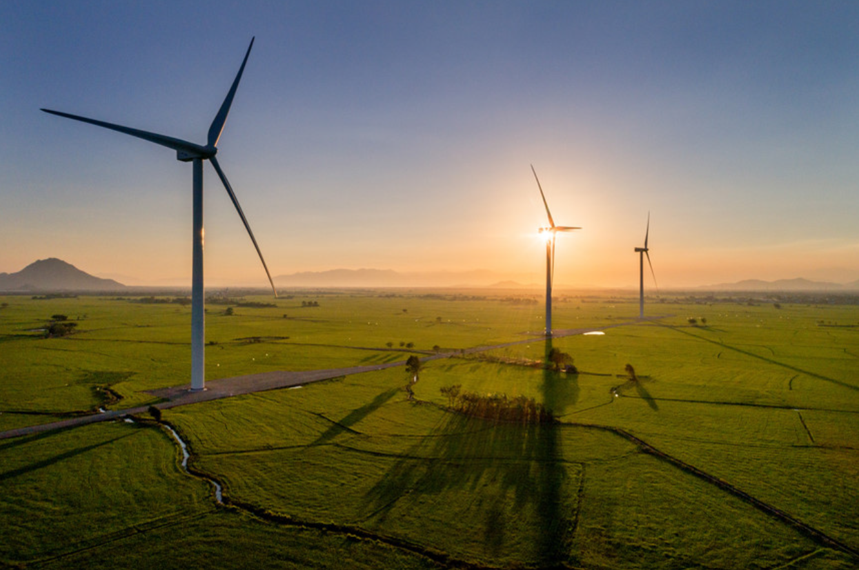 wind farm at sunset